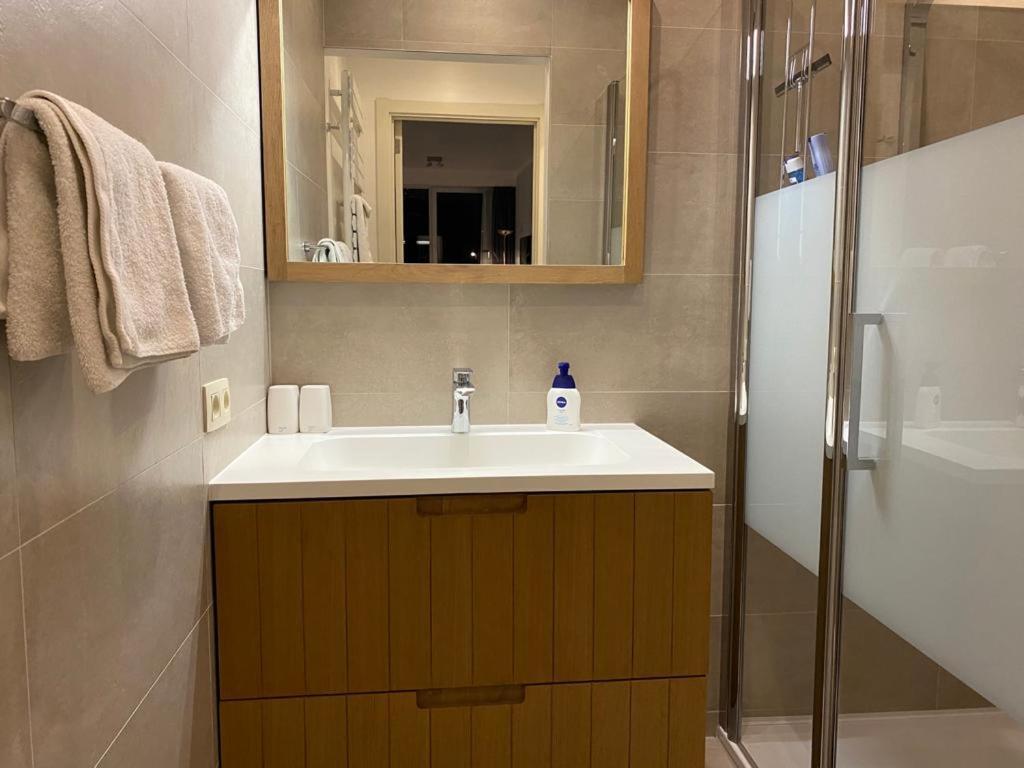 Spacious Studio Knokke-Heist Eksteriør billede